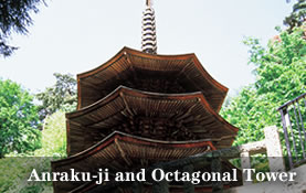 Anraku-ji and Octagonal Tower